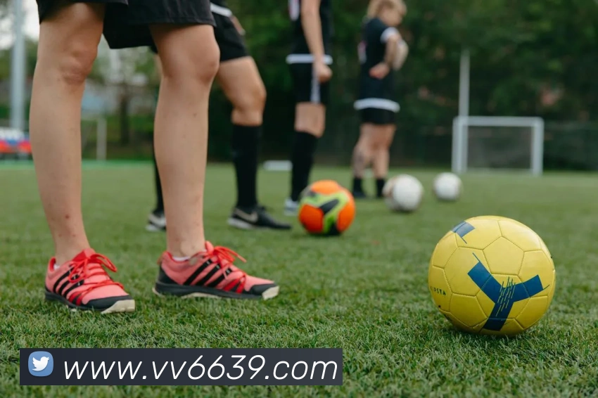 v66全站App v66全站App